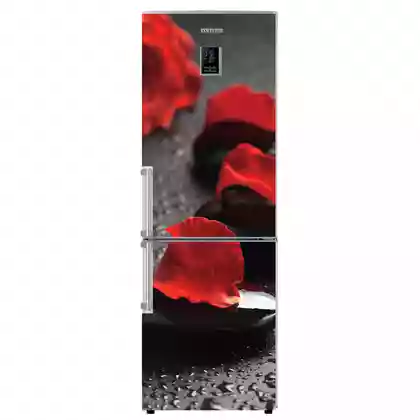 � �� � �