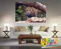 Ка� � ина на � олс� е К� ад� � ейся леопа� д