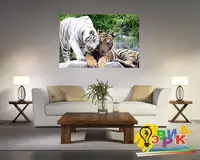 Ка� � ин� на � олс� е Тиг� �