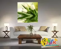 Ка� � ин� на � олс� е Т� л� пан�