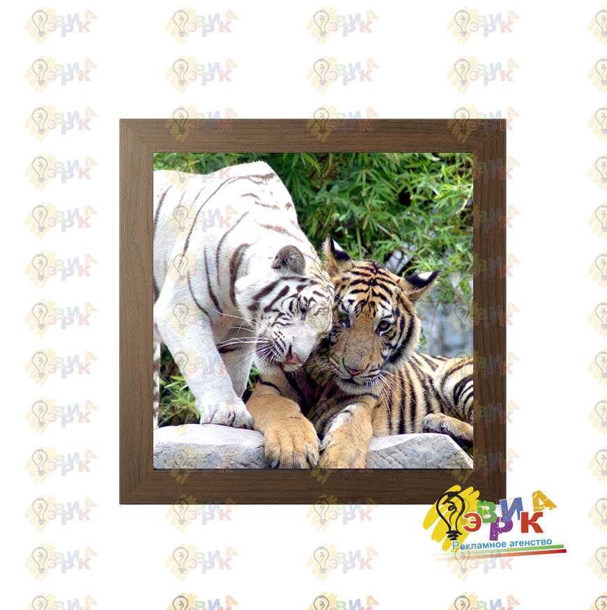 Пос� е� � для ин� е� � е� а Тиг� �