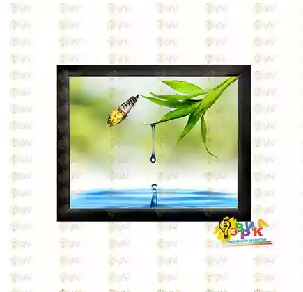 Пос� е� � для ин� е� � е� а Бабо� ки
