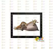 Пос� е� � для ин� е� � е� а Мадагаска�