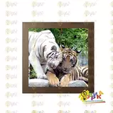 Пос� е� � для ин� е� � е� а Тиг� �