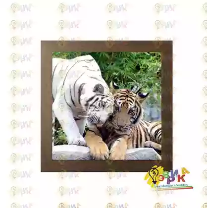 Пос� е� � для ин� е� � е� а Тиг� �