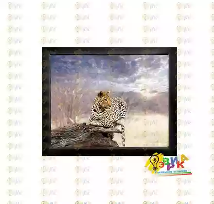 Пос� е� � для ин� е� � е� а Леопа� д