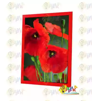 Пос� е� � для ин� е� � е� а Маки