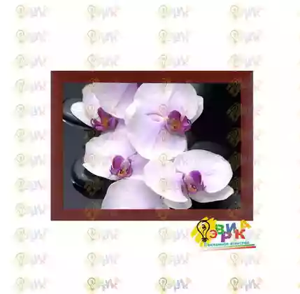 � �