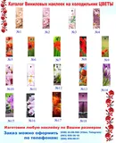 Ка� алог винилов� � наклеек для � олодил� ника Цве� �
